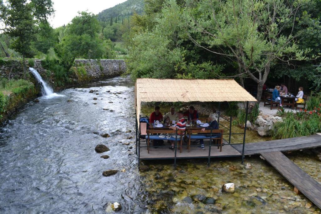 Pansion Arte Zvrko Lägenhet Zvekovica Exteriör bild